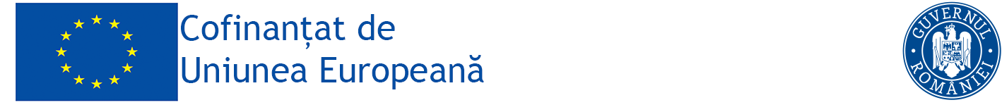 Sprijin pentru Persoanele cu Nivel Scăzut de Calificare Formare pentru Viitor